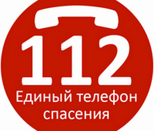 Единый номер вызова служб экстренного реагирования